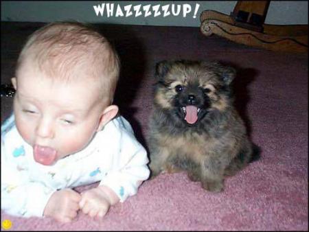 WHAZZZZZUP!