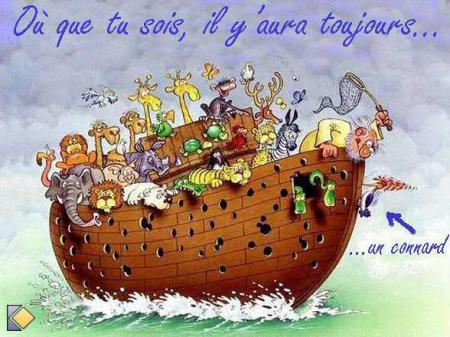 ou que tu soit il y a tjr un connard