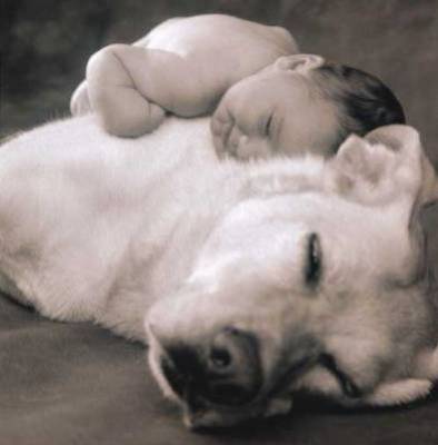c cro mignon