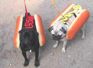 lol des hop dog sur patte